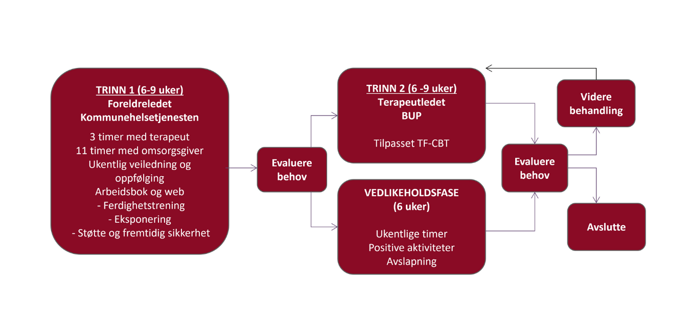 Behandlingsforløp Trinnvis